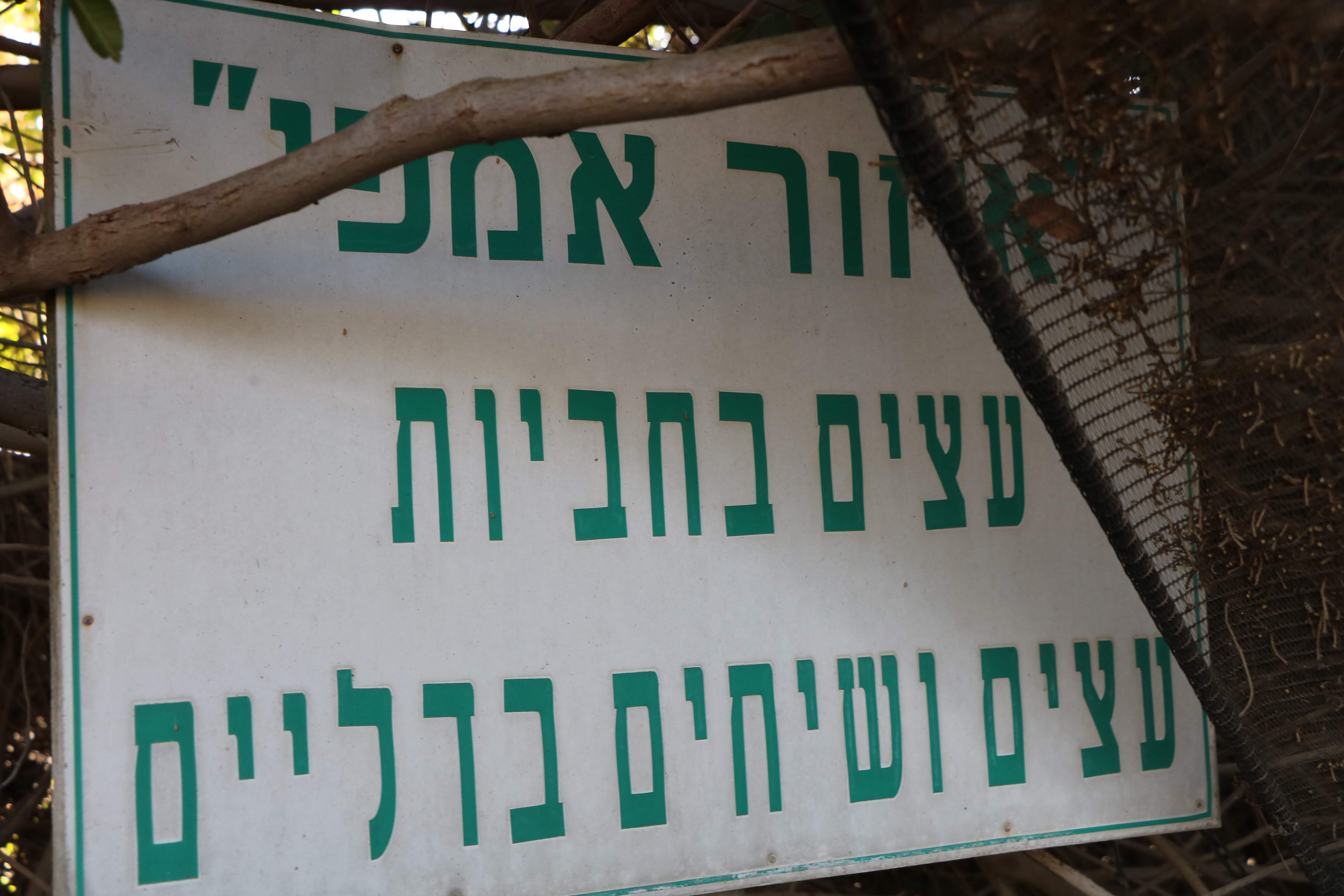 A-moreshet