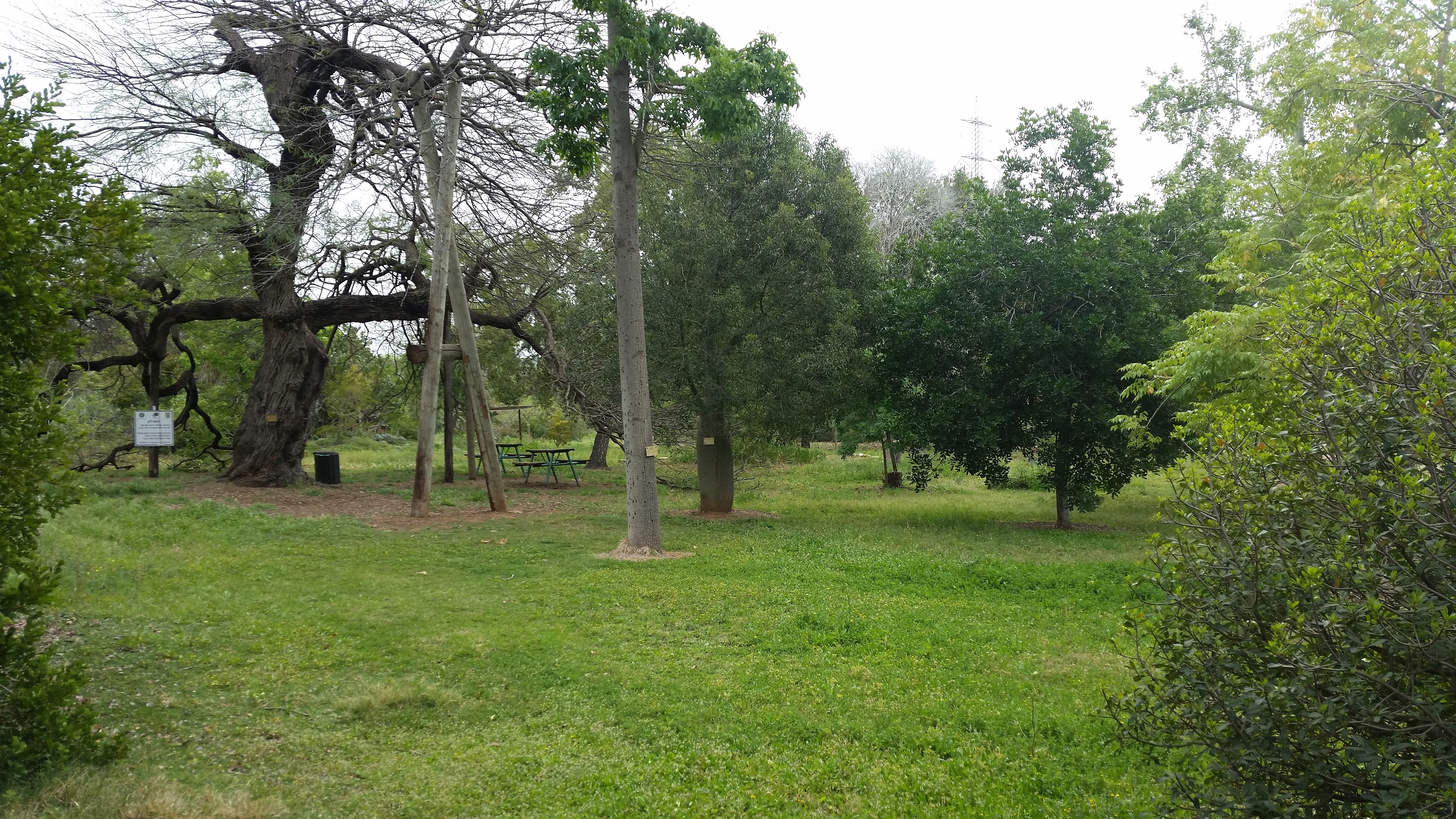 view