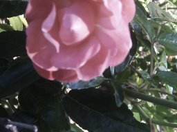imag0842
