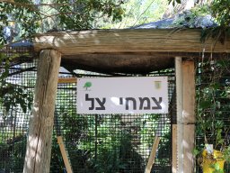 hava &raquo; moreshet