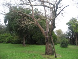 january2012g