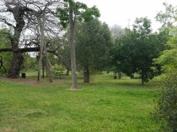 hava &raquo; view