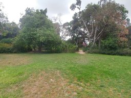 view-05-2017