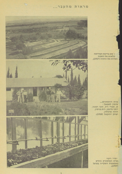 מראות_מהעבר.png
