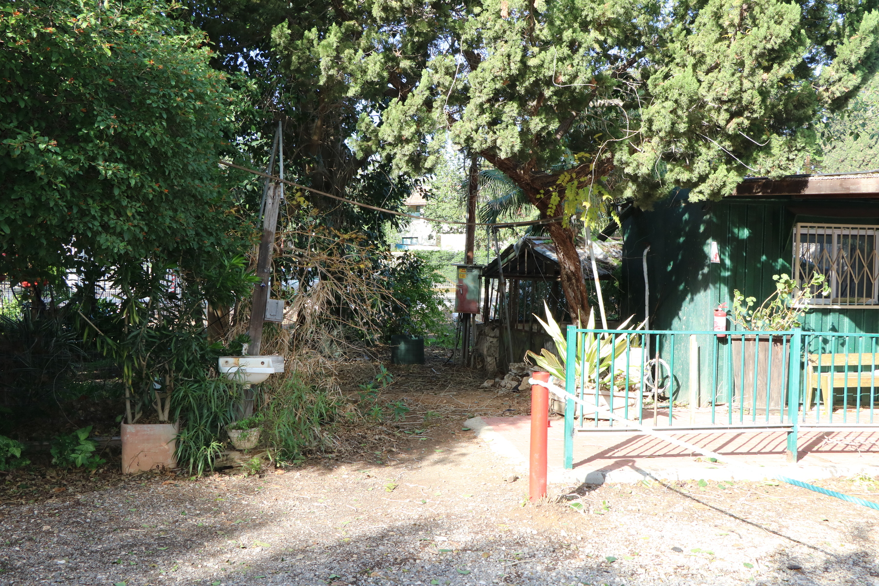 חממות הריבוי וההשרשה הראשונות בישראל