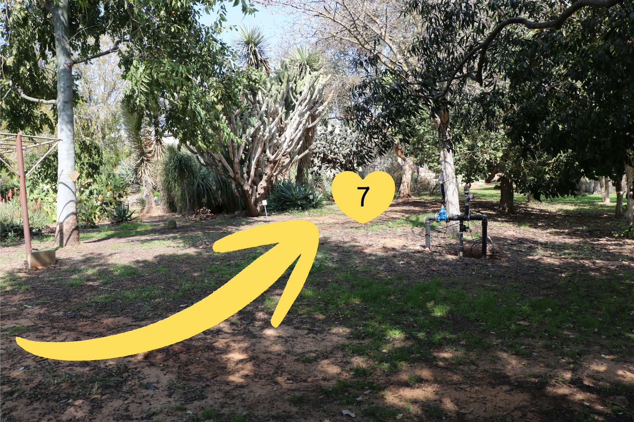 מפת ניווט לתחנה 7