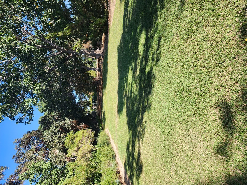 שדרת הפיקוסים — חוות הנוי